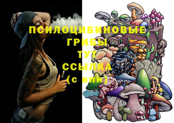 apvp Белоозёрский