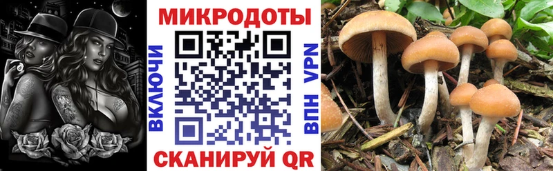 Галлюциногенные грибы мухоморы  Купить закладки  Балашиха 